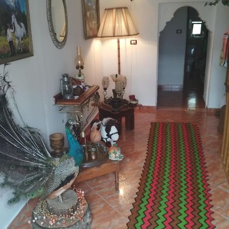 Karafil Guesthouse Gjirokastër Екстериор снимка