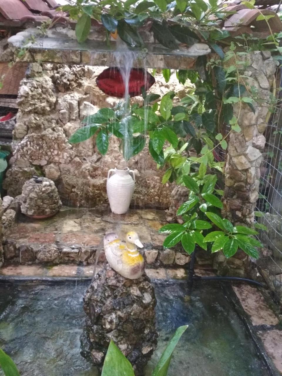 Karafil Guesthouse Gjirokastër Екстериор снимка