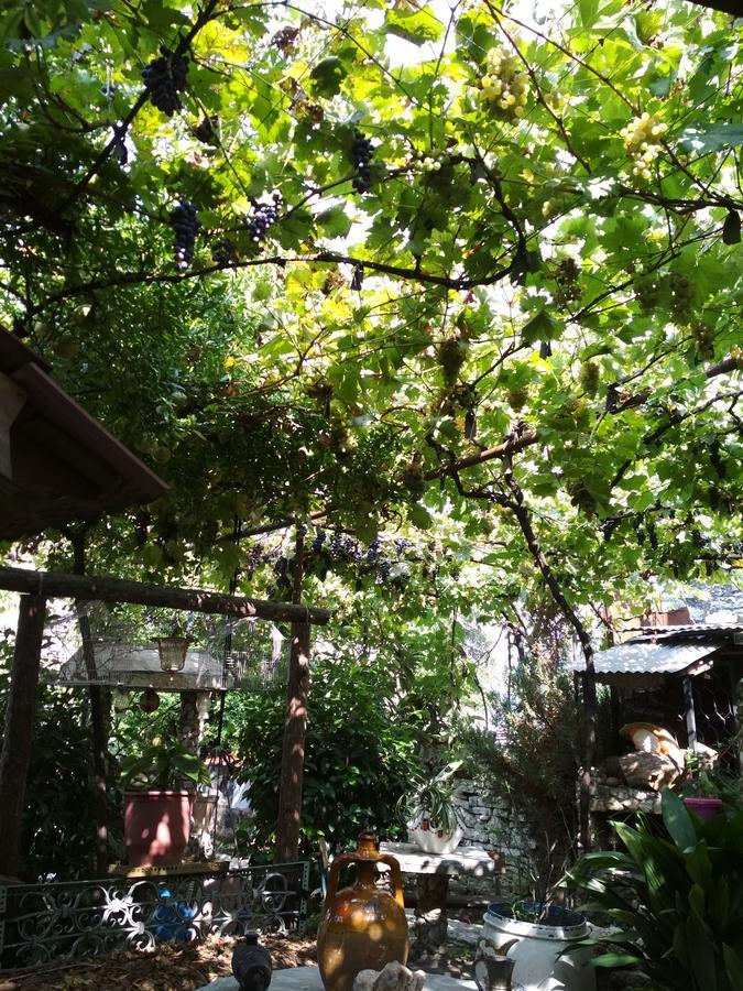 Karafil Guesthouse Gjirokastër Екстериор снимка